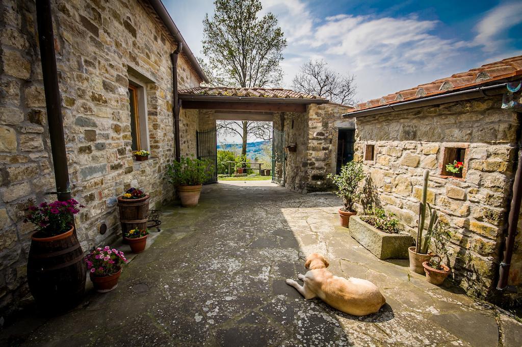 Agriturismo Podere il Palagio Fiesole Esterno foto