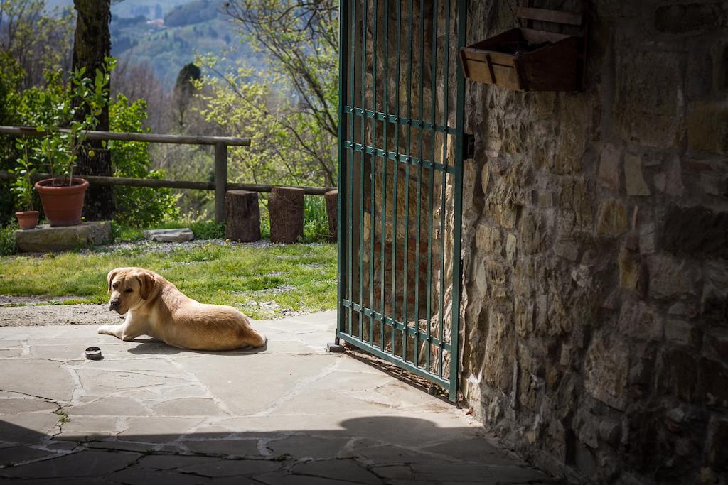 Agriturismo Podere il Palagio Fiesole Esterno foto